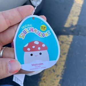 Mushroom squishmallow clip